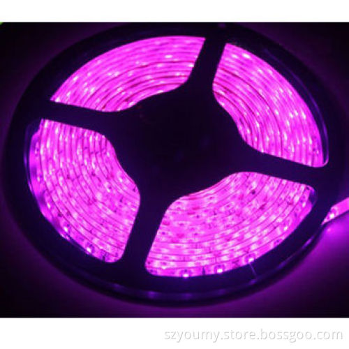 IP20 Non-waterproof Pink Purple 3528 SMD Flexible LED Strips, 60 LEDs, 12V DC Voltage